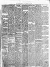 Cork Daily Herald Friday 06 May 1870 Page 3