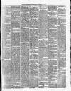 Cork Daily Herald Tuesday 21 February 1871 Page 3