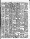 Cork Daily Herald Friday 07 April 1871 Page 3