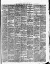 Cork Daily Herald Saturday 22 April 1871 Page 3