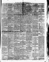 Cork Daily Herald Saturday 03 June 1871 Page 2