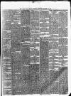 Cork Daily Herald Tuesday 24 October 1871 Page 3