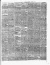 Cork Daily Herald Wednesday 18 March 1874 Page 3