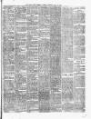 Cork Daily Herald Friday 29 May 1874 Page 3