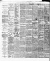 Cork Daily Herald Saturday 20 June 1874 Page 2