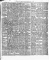 Cork Daily Herald Saturday 20 June 1874 Page 3