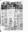 Cork Daily Herald Friday 21 May 1875 Page 1