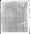 Cork Daily Herald Friday 20 August 1875 Page 3