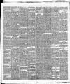 Cork Daily Herald Monday 03 January 1876 Page 3