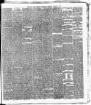 Cork Daily Herald Wednesday 05 January 1876 Page 3