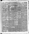 Cork Daily Herald Thursday 06 January 1876 Page 3