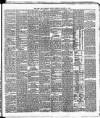 Cork Daily Herald Friday 14 January 1876 Page 3