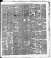 Cork Daily Herald Thursday 20 January 1876 Page 3