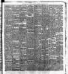 Cork Daily Herald Saturday 22 January 1876 Page 3