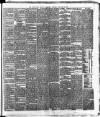 Cork Daily Herald Thursday 03 February 1876 Page 3
