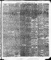 Cork Daily Herald Saturday 01 April 1876 Page 3