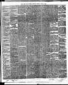 Cork Daily Herald Monday 03 April 1876 Page 3