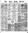 Cork Daily Herald Saturday 13 January 1877 Page 1