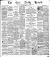 Cork Daily Herald Friday 29 June 1877 Page 1