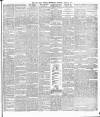 Cork Daily Herald Wednesday 25 July 1877 Page 3
