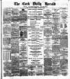 Cork Daily Herald Saturday 05 January 1878 Page 1