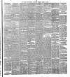 Cork Daily Herald Thursday 21 March 1878 Page 3