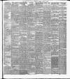 Cork Daily Herald Thursday 11 April 1878 Page 3