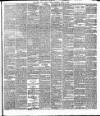 Cork Daily Herald Friday 12 April 1878 Page 3