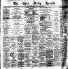 Cork Daily Herald Saturday 02 November 1878 Page 1