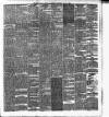Cork Daily Herald Saturday 31 May 1879 Page 3