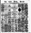 Cork Daily Herald Wednesday 12 November 1879 Page 1