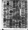 Cork Daily Herald Saturday 10 January 1880 Page 4