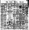 Cork Daily Herald Saturday 31 January 1880 Page 1
