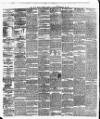 Cork Daily Herald Monday 09 February 1880 Page 2