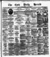 Cork Daily Herald Friday 20 February 1880 Page 1