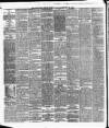 Cork Daily Herald Tuesday 24 February 1880 Page 2