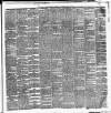 Cork Daily Herald Saturday 08 May 1880 Page 3