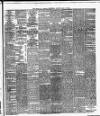 Cork Daily Herald Wednesday 19 May 1880 Page 3