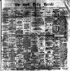 Cork Daily Herald Monday 29 November 1880 Page 1