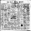 Cork Daily Herald Saturday 11 December 1880 Page 1