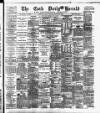 Cork Daily Herald Wednesday 31 January 1883 Page 1