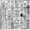 Cork Daily Herald Saturday 09 February 1884 Page 1