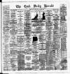 Cork Daily Herald Tuesday 06 January 1885 Page 1