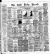 Cork Daily Herald Tuesday 13 January 1885 Page 1