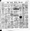 Cork Daily Herald Wednesday 03 June 1885 Page 1