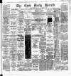 Cork Daily Herald Tuesday 09 June 1885 Page 1