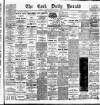 Cork Daily Herald Tuesday 05 January 1886 Page 1