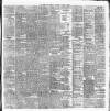 Cork Daily Herald Monday 02 August 1886 Page 3