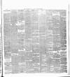Cork Daily Herald Friday 13 January 1888 Page 3