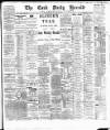 Cork Daily Herald Friday 25 January 1889 Page 1